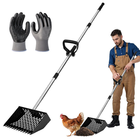 Chicken Poop Scooper & Rake